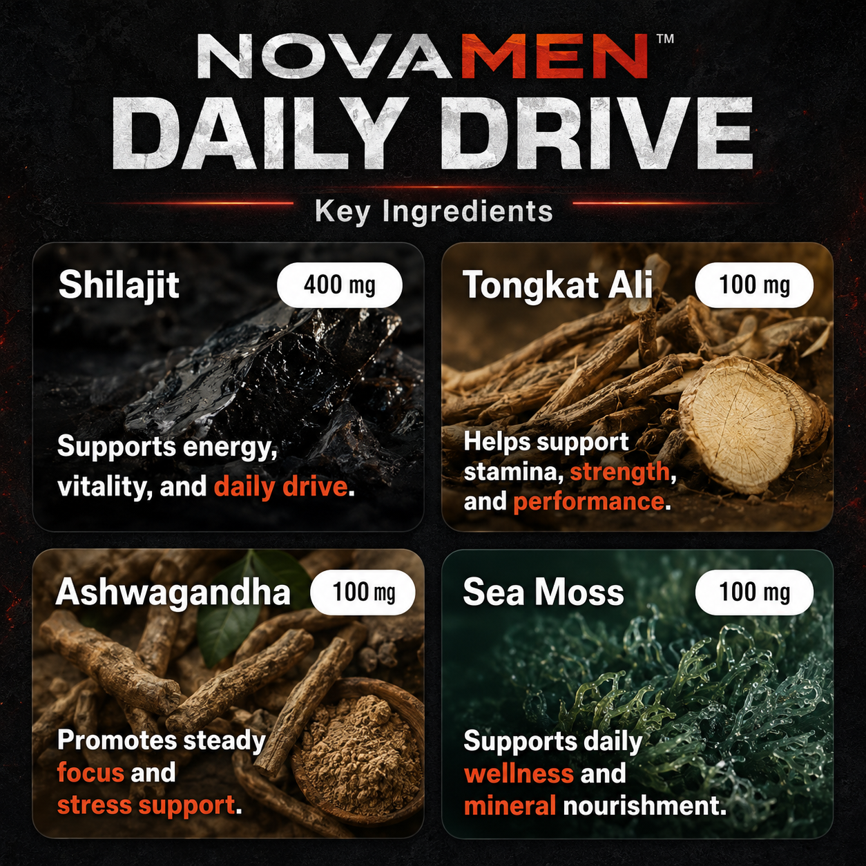 NOVAMEN™ Daily Drive